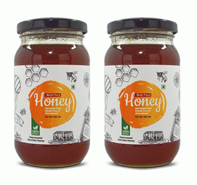 Goldwyn Honey: Multiflora Raw Honey | 100% Pure & Natural | Organic Honey | Unprocessed – Unfiltered – Unpasteurized | Single Origin – No Additives - Ethically Sourced | Ayurvedic (Pack of 2 x 500 Gm)